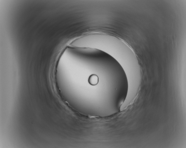 X0000113290289200910051106