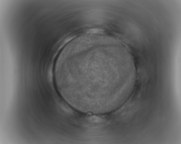 X0000113290290200910051106