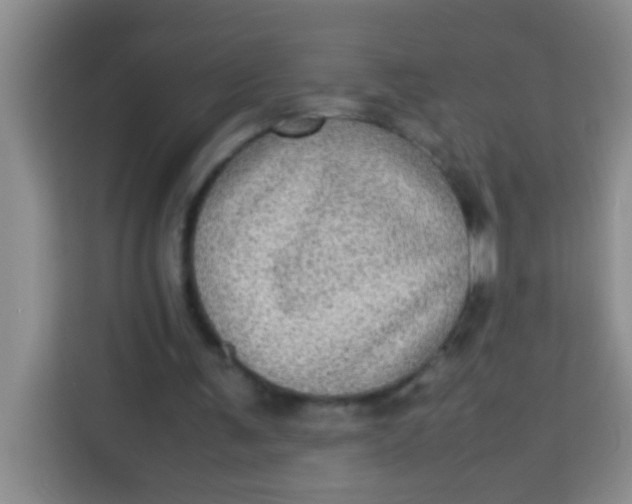 X0000113290291200910051106
