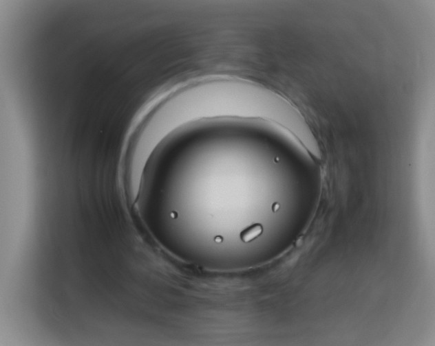 X0000113290292200910051106