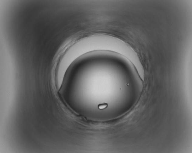 X0000113290293200910051106