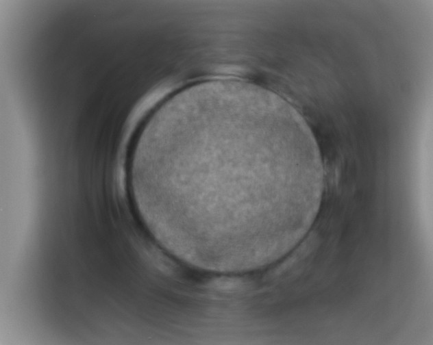 X0000113290294200910051106