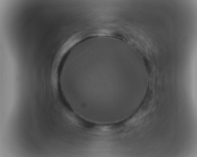 X0000113290295200910051106