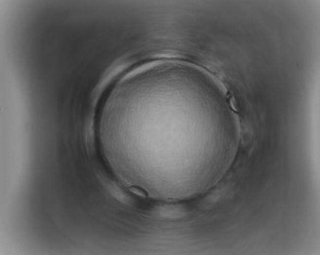 X0000113290296200910051106