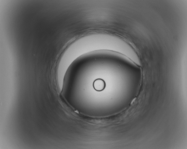 X0000113290297200910051106