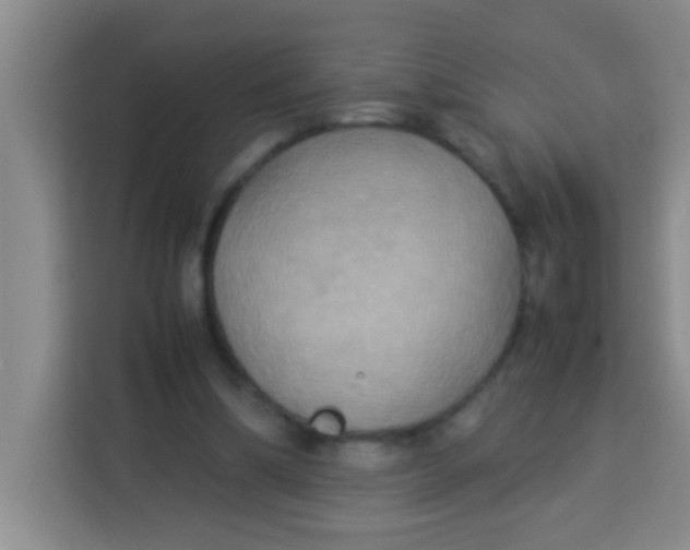 X0000113290298200910051106
