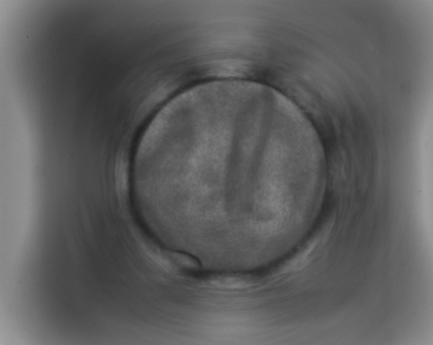 X0000113290299200910051106