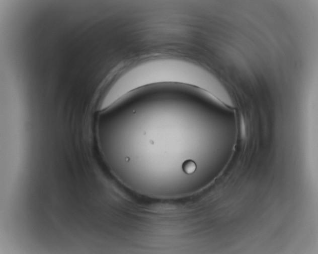 X0000113290300200910051106