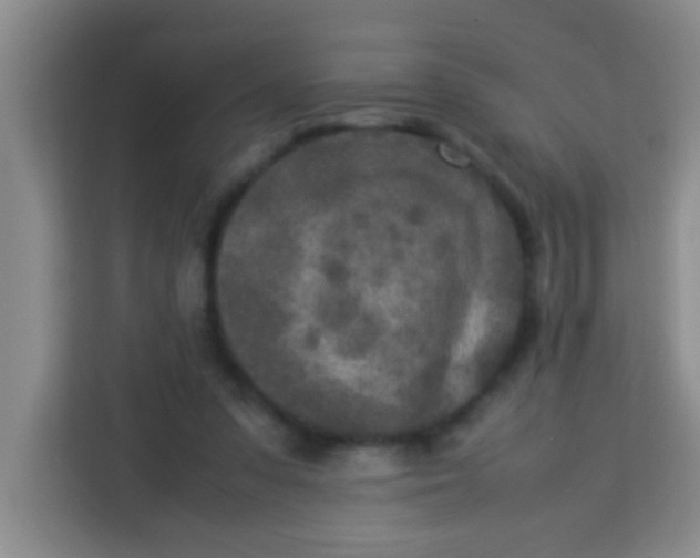 X0000113290303200910051106