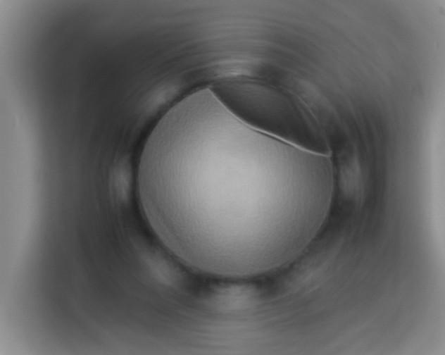 X0000113290304200910051106