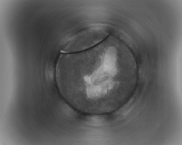 X0000113290305200910051106
