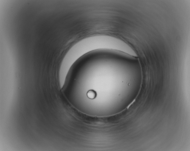 X0000113290308200910051106