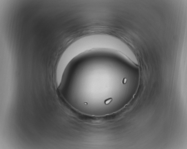 X0000113290309200910051106