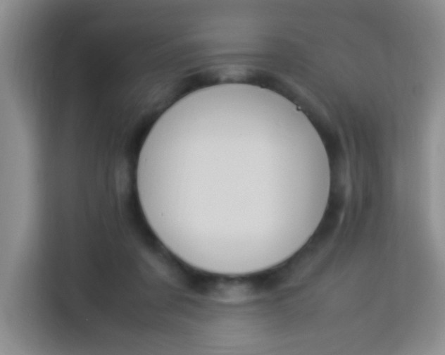 X0000113290311200910051106