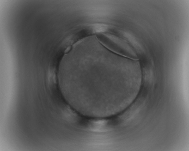 X0000113290313200910051106