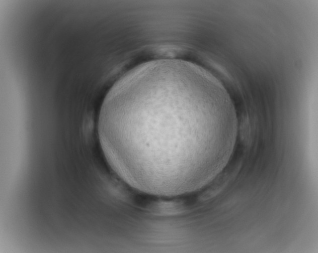 X0000113290314200910051106