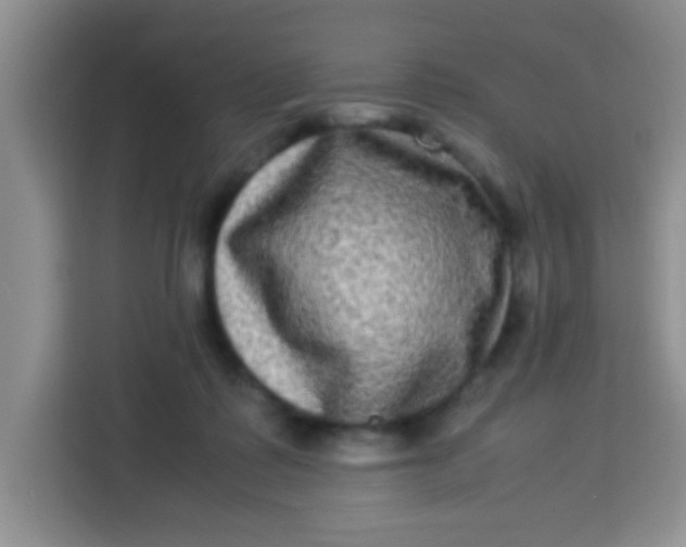 X0000113290315200910051106