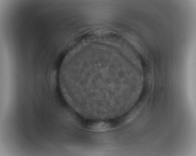 X0000113290319200910051106