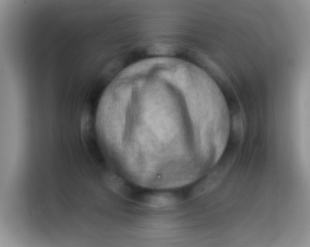 X0000113290322200910051106