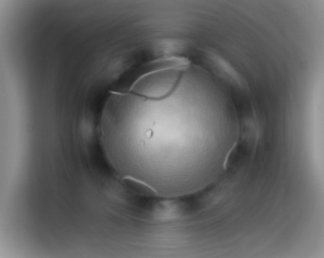 X0000113290324200910051106