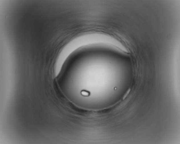 X0000113290325200910051106