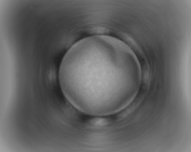 X0000113290326200910051106