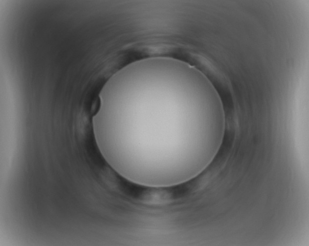 X0000113290327200910051106