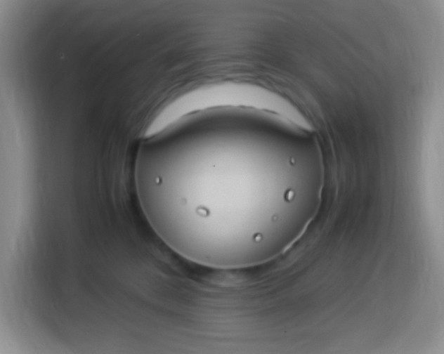 X0000113290328200910051106