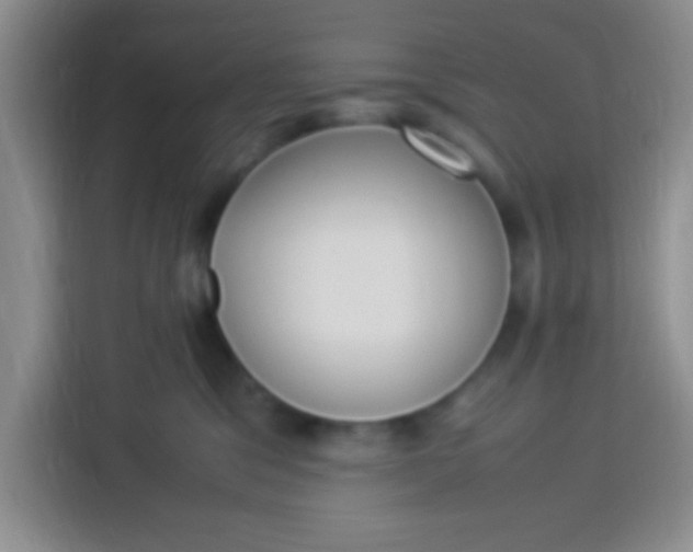 X0000113290329200910051106