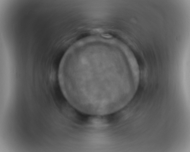 X0000113290331200910051106