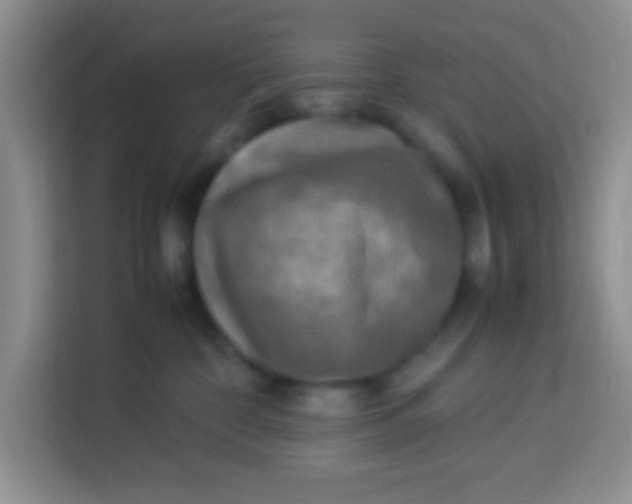 X0000113290332200910051106