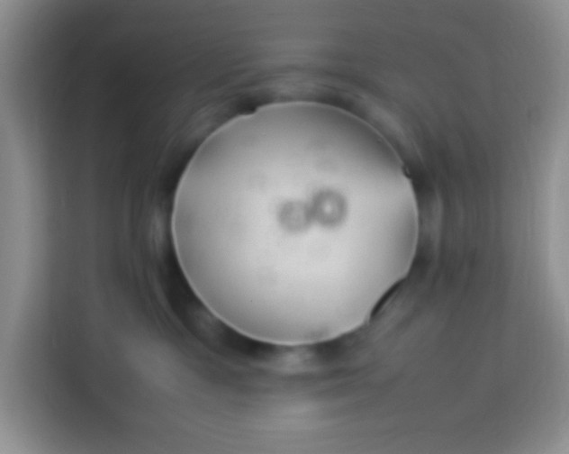 X0000113290333200910051106