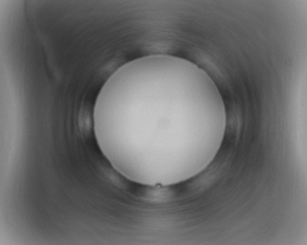 X0000113290334200910051106