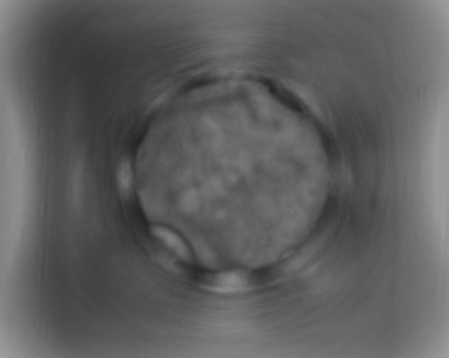 X0000113290335200910051106