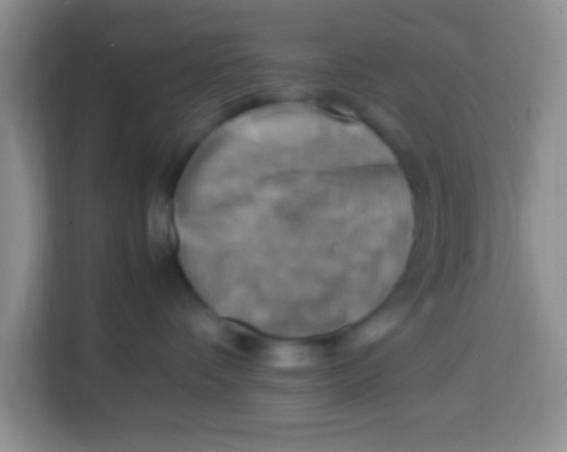 X0000113290336200910051106