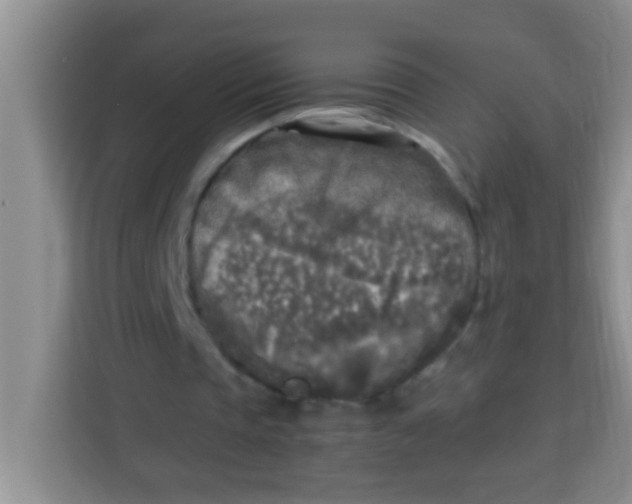 X0000113290337200910051105