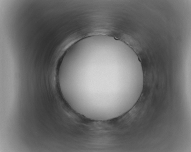 X0000113290338200910051105