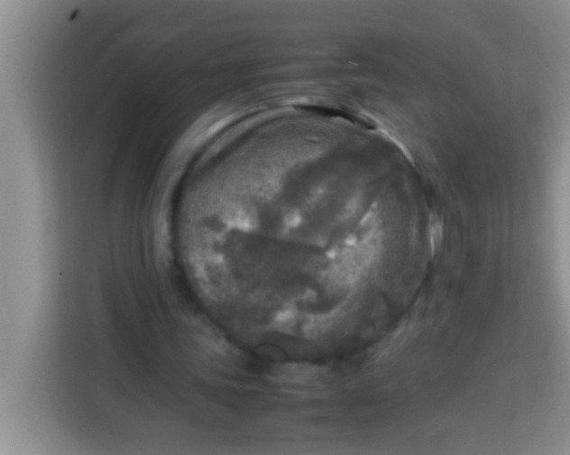 X0000113290339200910051105