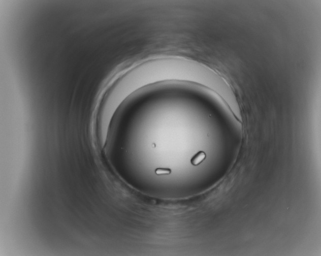 X0000113290340200910051105