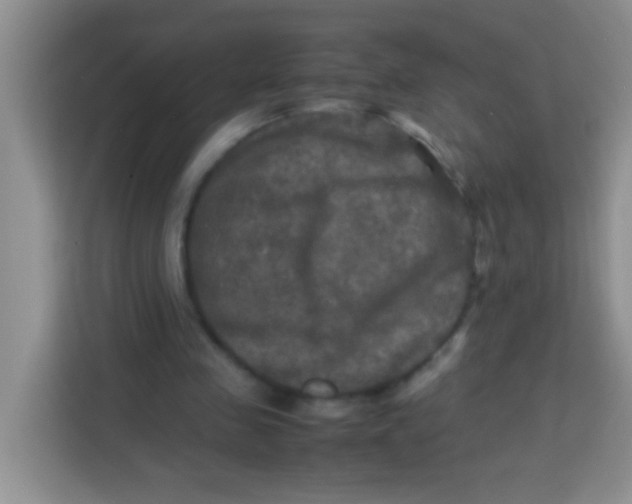 X0000113290341200910051105
