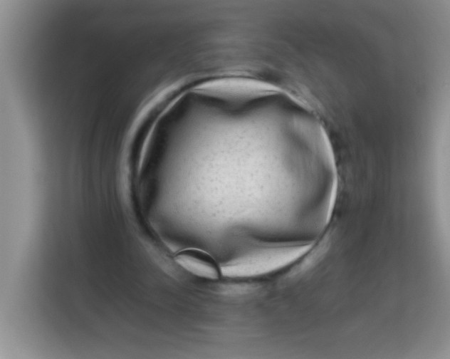 X0000113290342200910051105