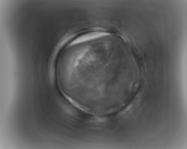 X0000113290343200910051105
