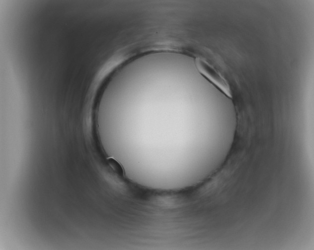 X0000113290344200910051105