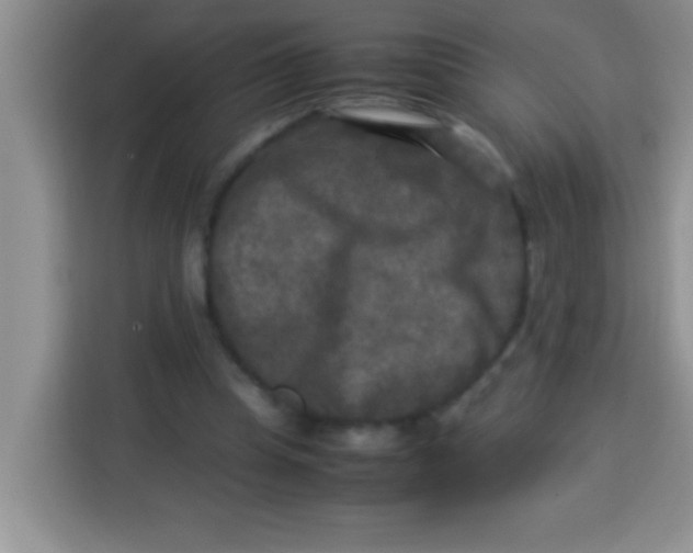 X0000113290345200910051105