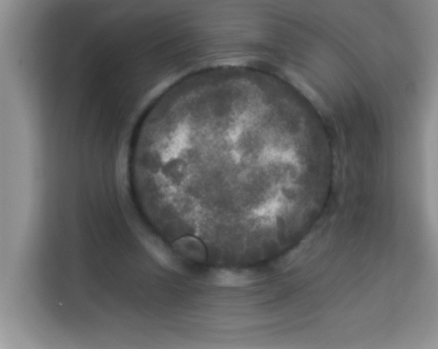 X0000113290346200910051105