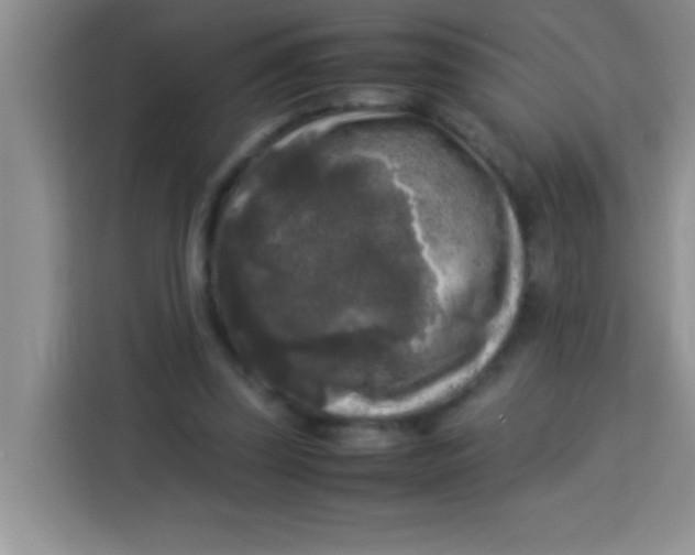 X0000113290347200910051105