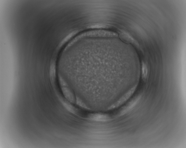 X0000113290348200910051105