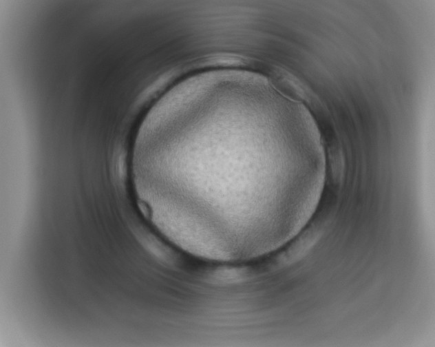 X0000113290350200910051105
