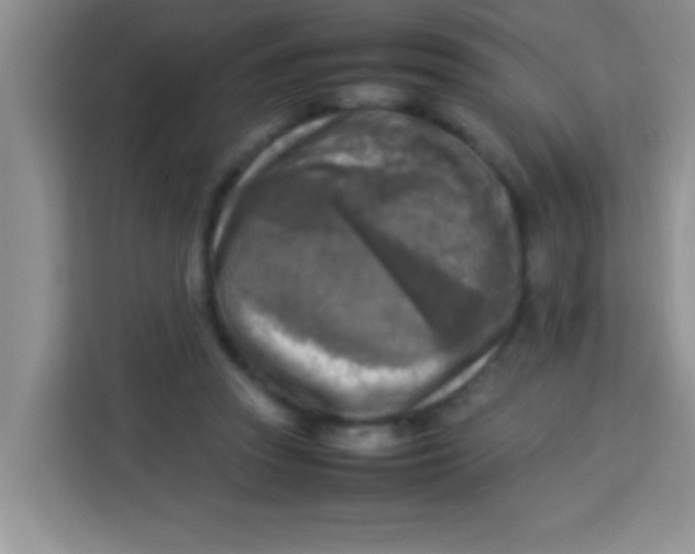 X0000113290353200910051105