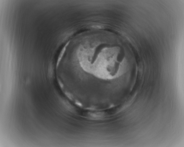 X0000113290359200910051105